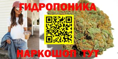 марки nbome Гатчина