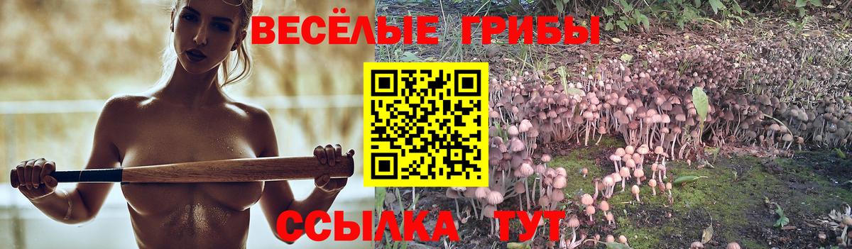Псилоцибиновые грибы Psilocybine cubensis  Галлюциногенные грибы прущие грибы  Россия  Вход с VPN 